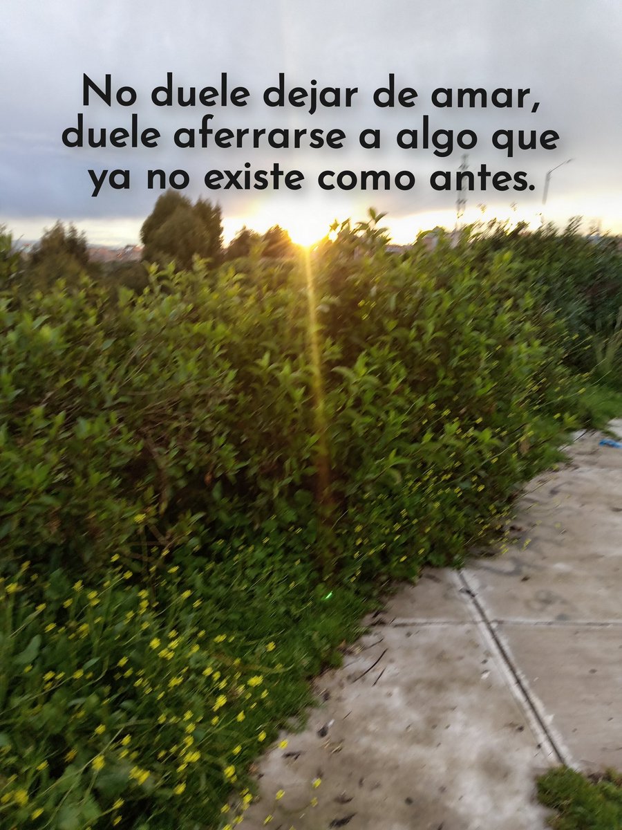 NissaDaylin's tweet photo. #frases #AmorPropio https://t.co/IKVLgMME5J
