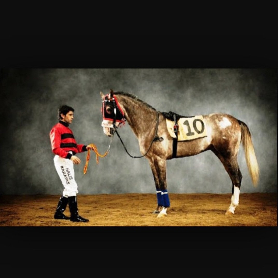 Bugünkü misafirperverliğin ve keyifli atçılık sohbetin için teşekkürler Halis abi. Özdemir kardeşim, senin de her şey gönlünce olsun. Hatırlatayım güzel kardeşim; ne iş yaparsan yap, yeter ki sevdiğin işi yap, başarının ve mutluluğun sırrı tam olarak burada. 🙏🏻