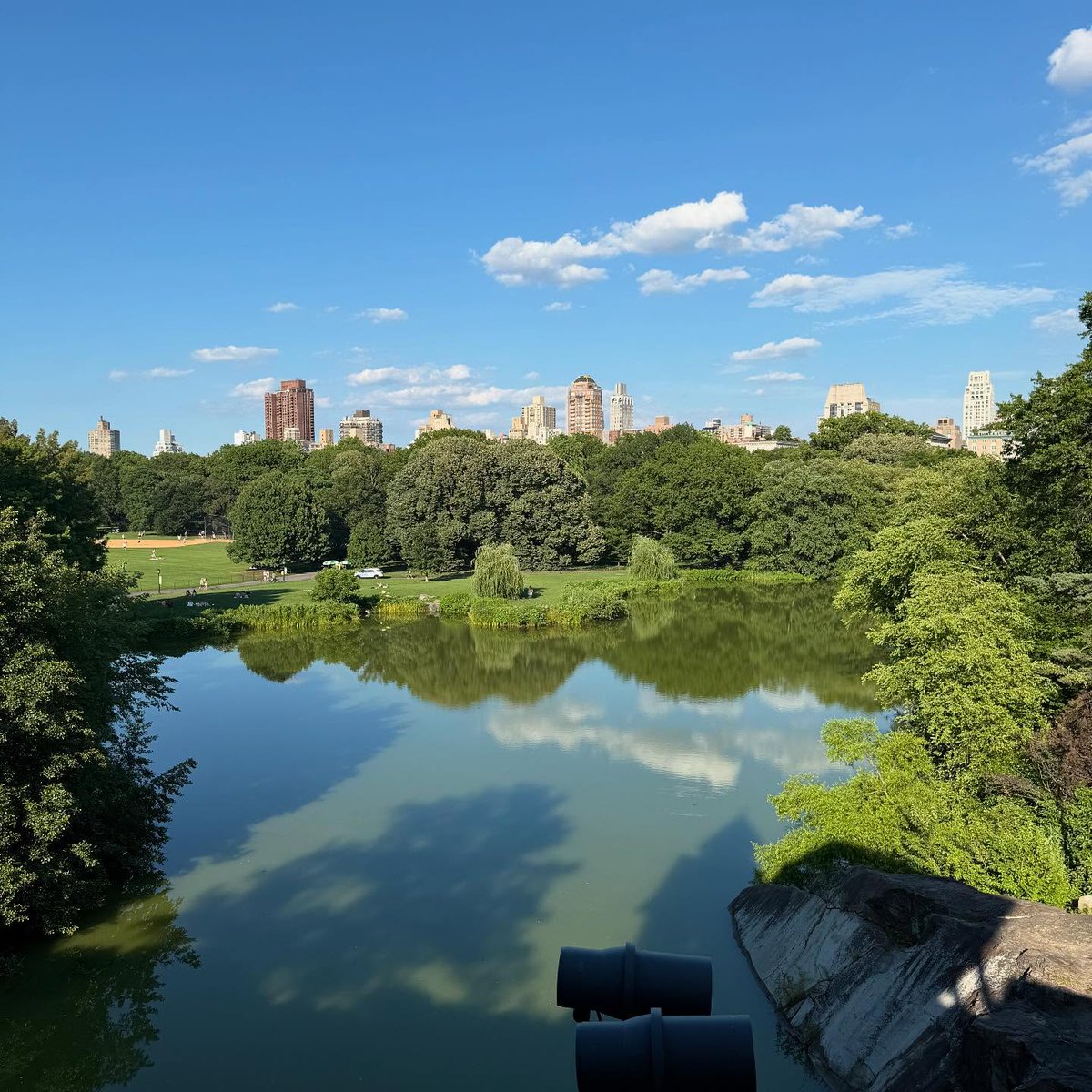 veronique_lyn1's tweet image. City vibes with nature's peace heals the soul #centralpark #lovingnature