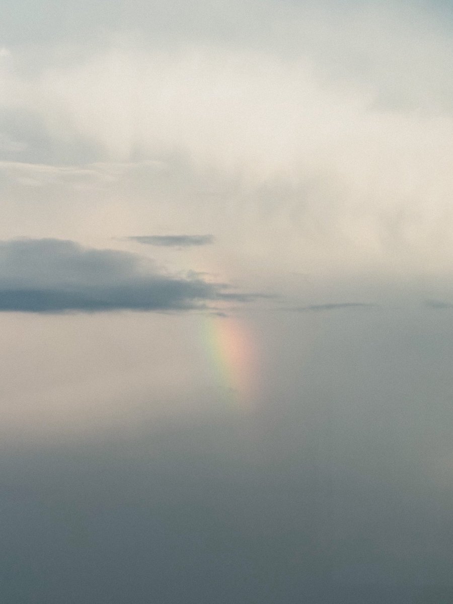 i’m looking for a studio to sublet in sf within 10 min walking to alamo square! 
preferably in lower haight, 1-3 months, any time post august. dm me!