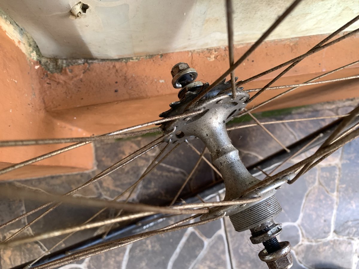 KEMBUNGGHHHH🐡🐡 tweet media