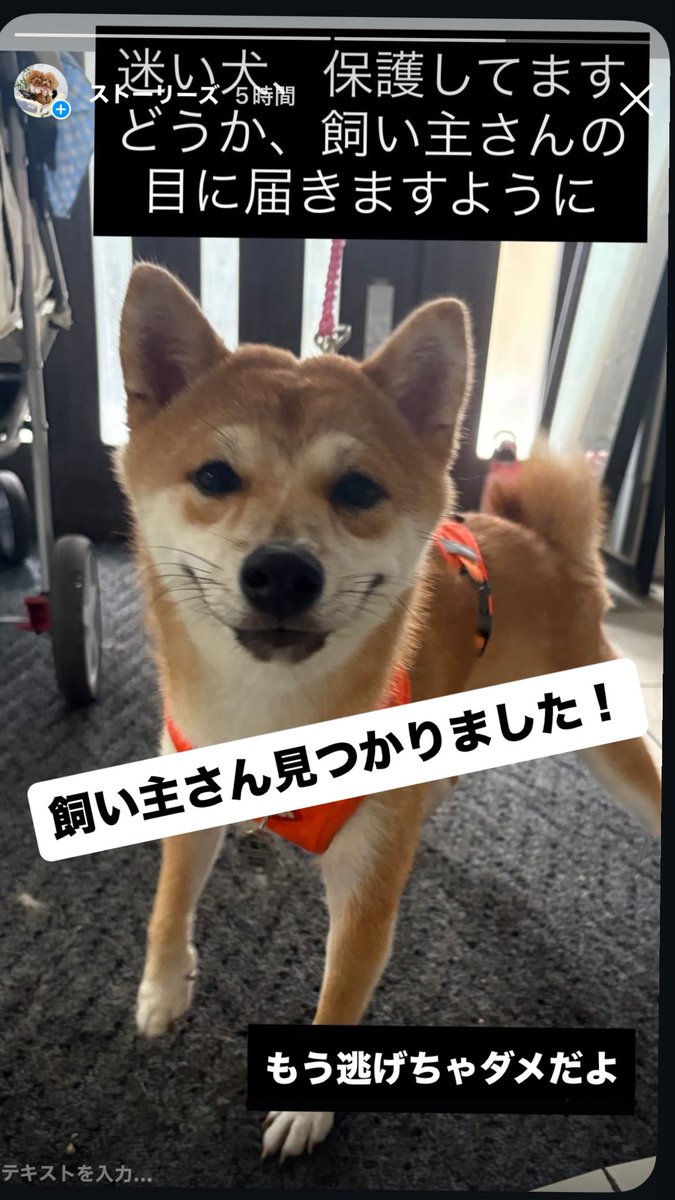 のん🌺 (@nonnonnon_chama) / Posts / X