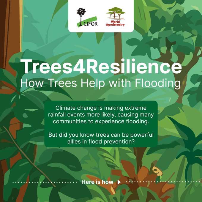 TheLandAlliance's tweet photo. Climate change is making extreme rainfall events more likely, causing many communities to experience #flooding.

Trees can be powerful allies in flood prevention. Learn how: ➡️ https://t.co/JxWgfFXfbN

#TreesPeoplePlanet https://t.co/hjuwq5DpGa