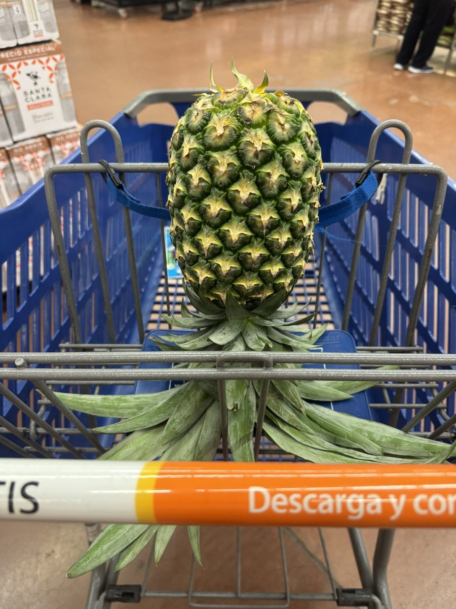 A ver si hoy si 😏😈