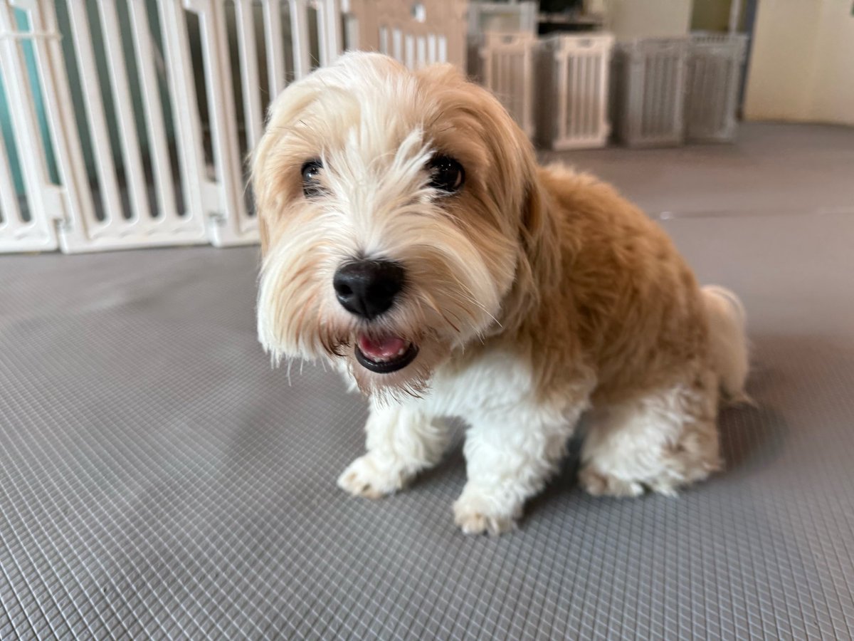 애플 (@lovelyapple1211) on Twitter photo 