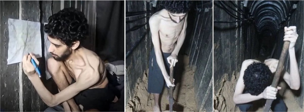 The images of Israeli hostages held in Gaza – starving, skeletal, robbed of their dignity – are a stain on our shared humanity.
 
The video of the emaciated hostage digging his grave brings to mind the darkest days of the holocaust.
 
What we are witnessing is cruelty in its