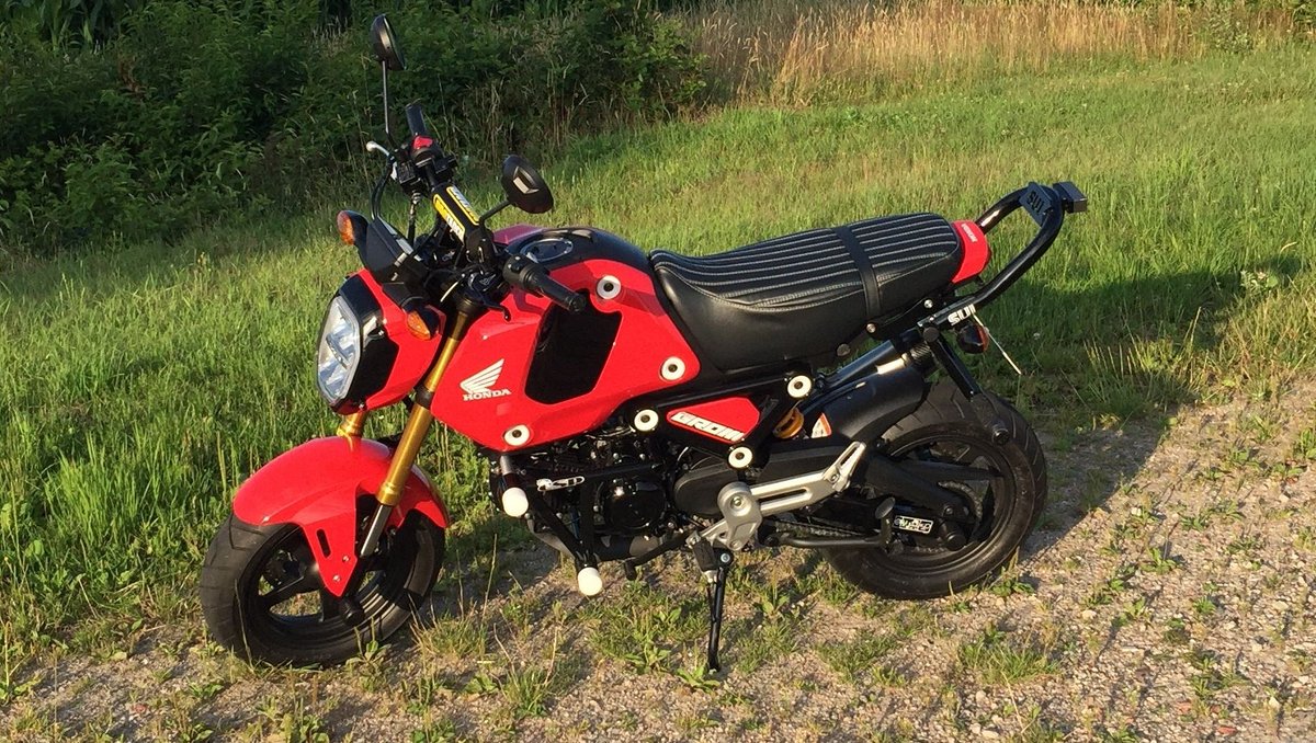 Bjorn in Germany sends this photo of his Honda Grom with our vertical pleat cover.  Looks great! Thanks Bjorn!!

l8r.it/ccWE
#cheekyseats #hondaGrom #grom #madeintheUSA