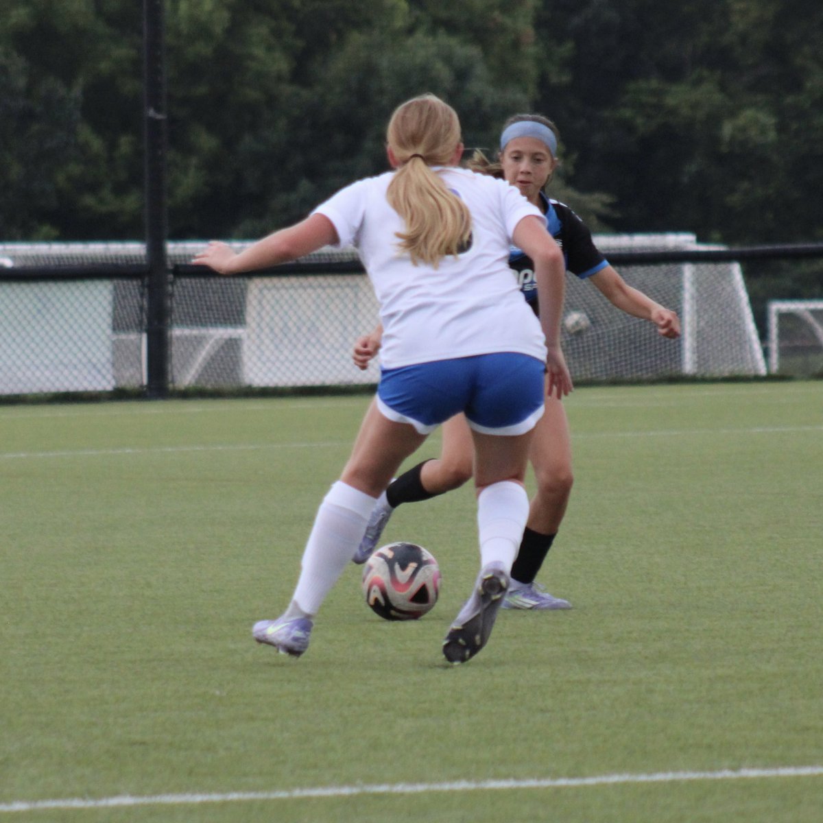 Emily Allen tweet media