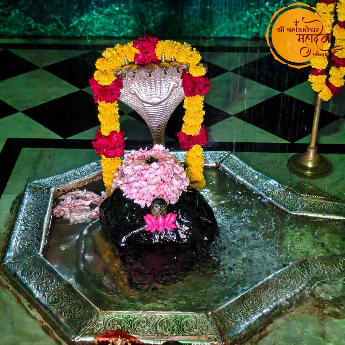 Good morning family 💛 
🕉️Omm Namah Shivaya 🕉️ 
Har har Mahadev 🙏🏻 
Jay bholenath 🙏🏻
🕉️🕉️🕉️🕉️🕉️