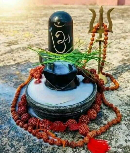 देवों के देव महादेव,
कण कण में विराजमान है।
शिव ही आदि, शिव ही अनंत हैं....

ओम् नमः शिवाय।।🙏🌿