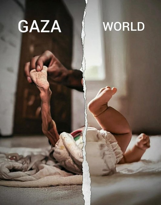 Gaza vs the world

#FreePalestine