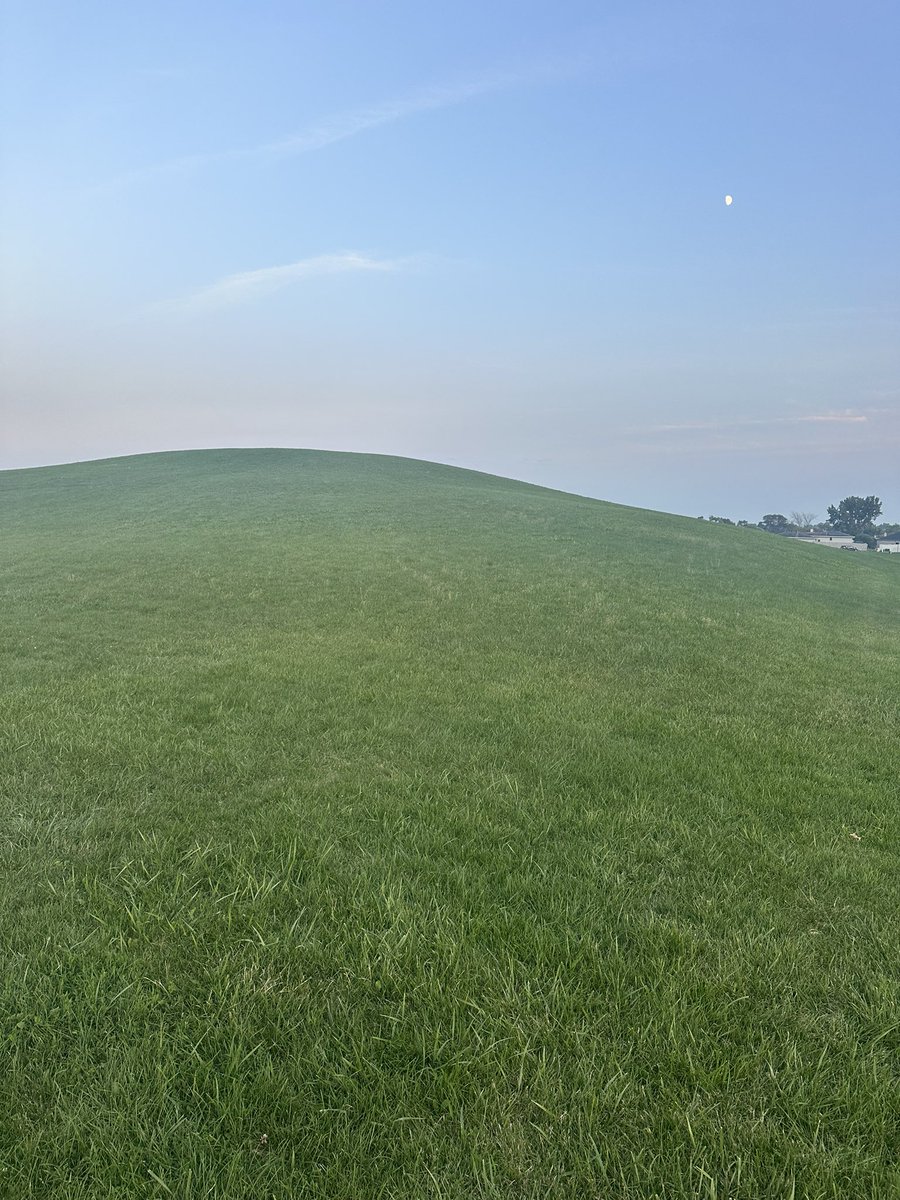 Tolu_Babalola tweet media