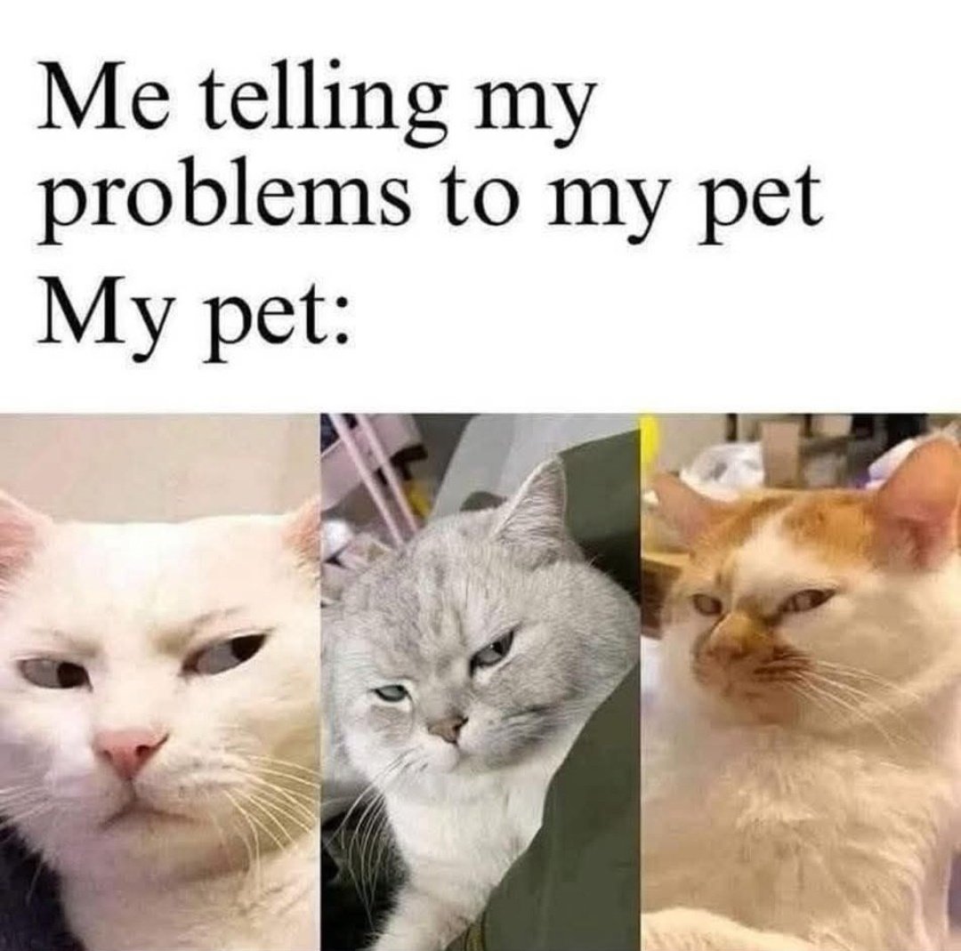 🤣🤣🤣🤣 So judgemental!