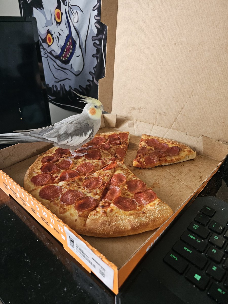 I haven't had <a href="/dominos/">Domino's Pizza</a> in years. Was amazing Noba didn't even walk on the pizza.