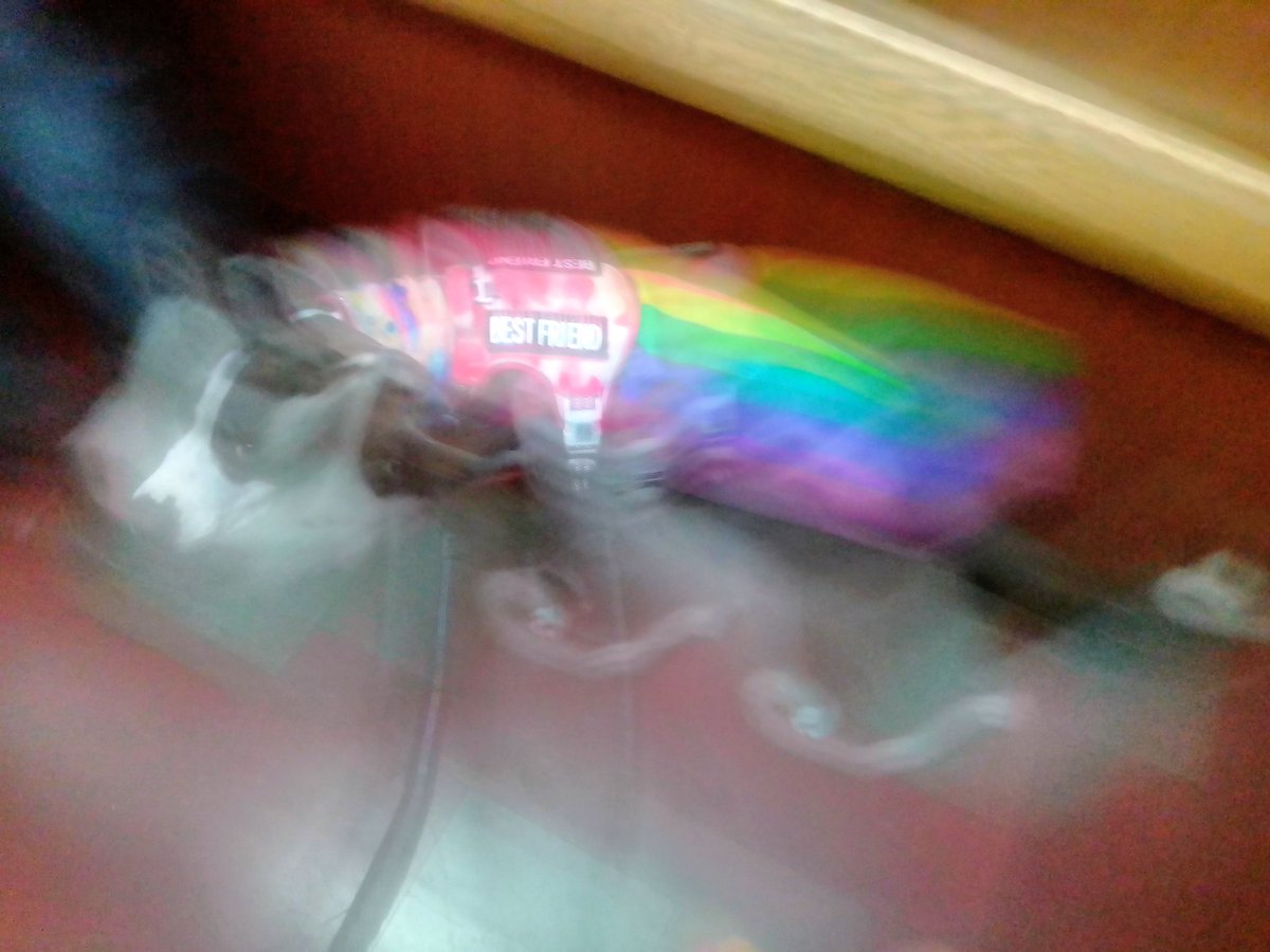 LebrockTony's tweet photo. The Elusive👻🏳️🌈🐕34📸🐾💙
#deaddogwalking #deaddogs
#walkingdead #ghostlypic #ghostdogpic #ghostdog #pet
#deadandgone #ghostgirl #pit #dogghost #paranormal #boo
#MadamRiley #deaddog #dog https://t.co/jJ54eAGfoU