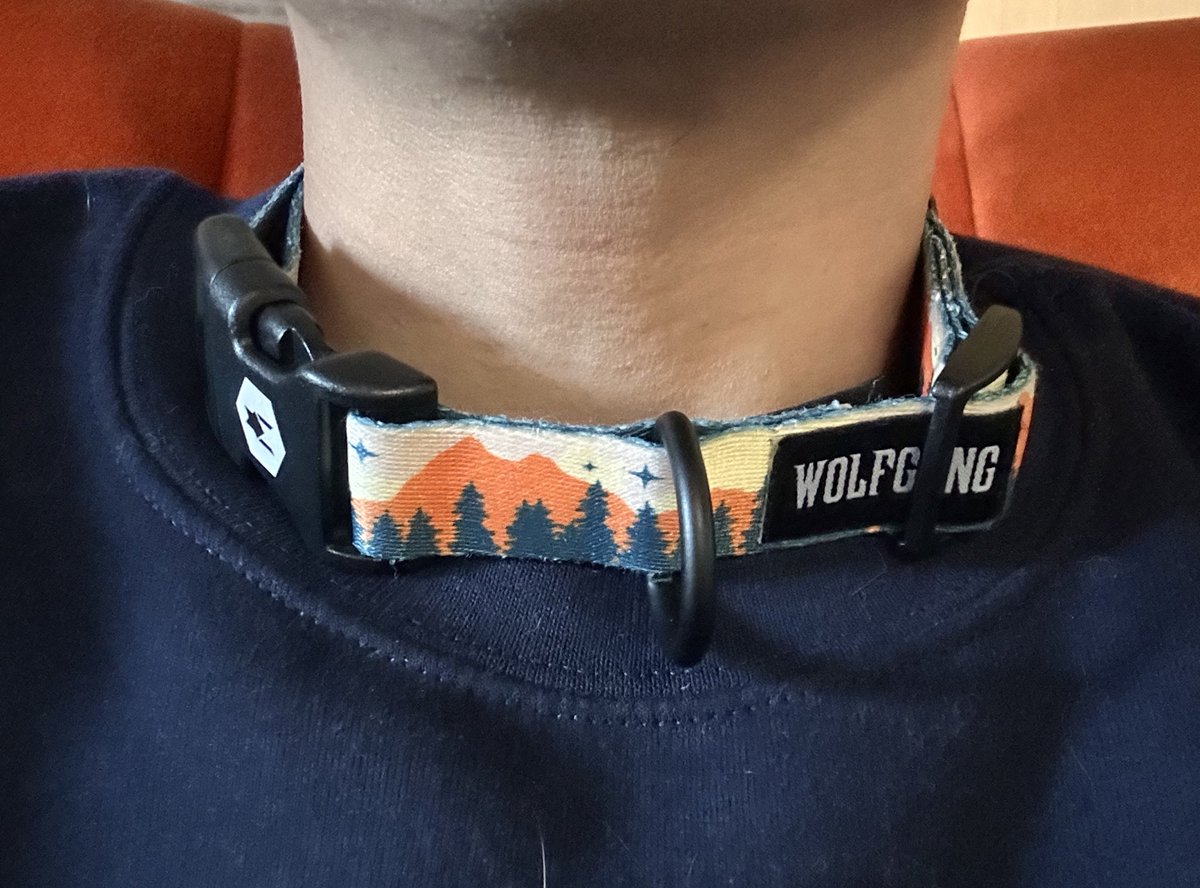 Amatzi -LVFCoyote- (@amatzicoyote) on Twitter photo I forgot to take off my collar going into the vet's office and <a href="/FlipBunny/">Flip Bunny ๐ BFC</a> just let it happen. I forgot to take off my collar going into the vet's office and <a href="/FlipBunny/">Flip Bunny ๐ BFC</a> just let it happen.