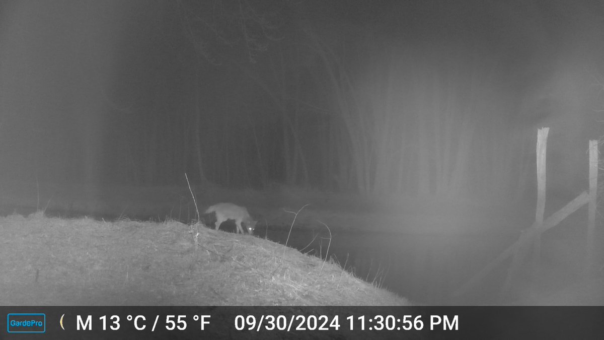 Logan Anderson tweet media