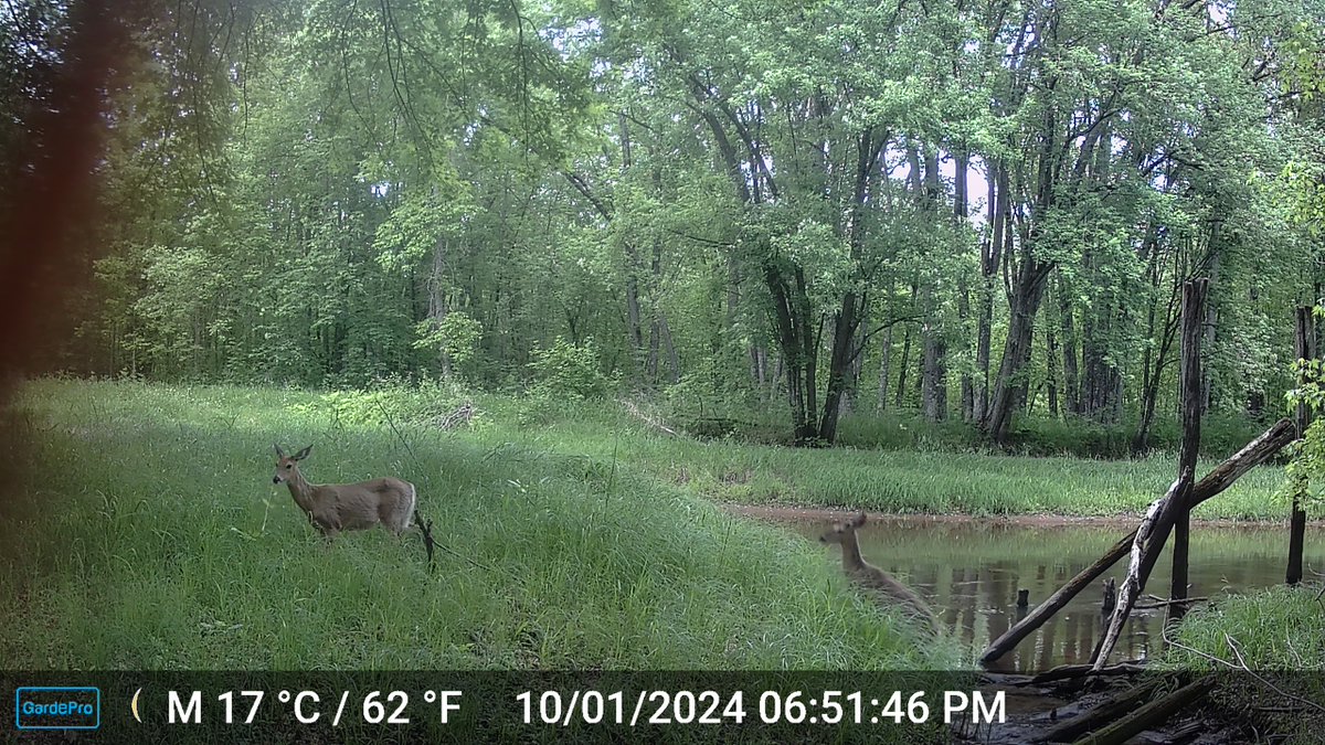 Logan Anderson tweet media