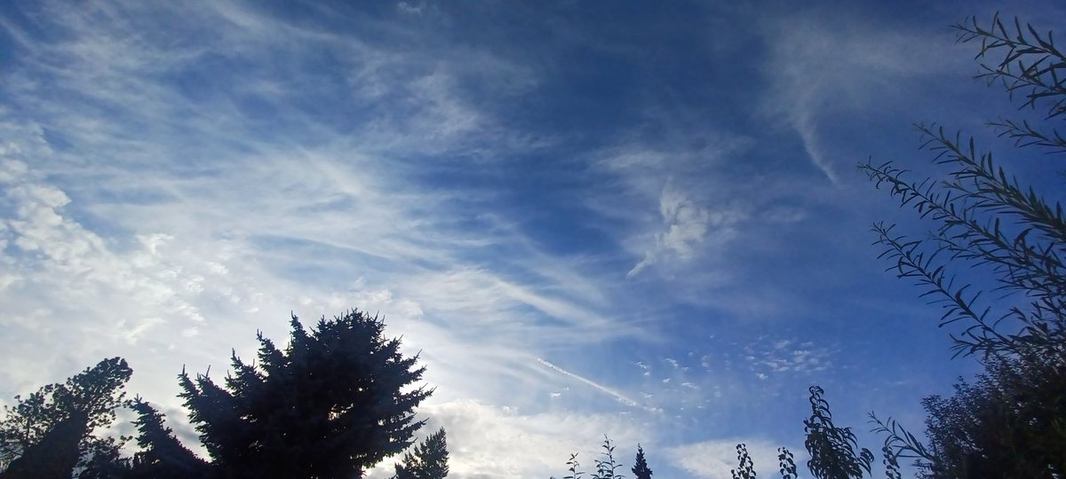 Full WHITEOUT it clearing out, so now you can see the CRIMES ABOVE OUR HOMES!