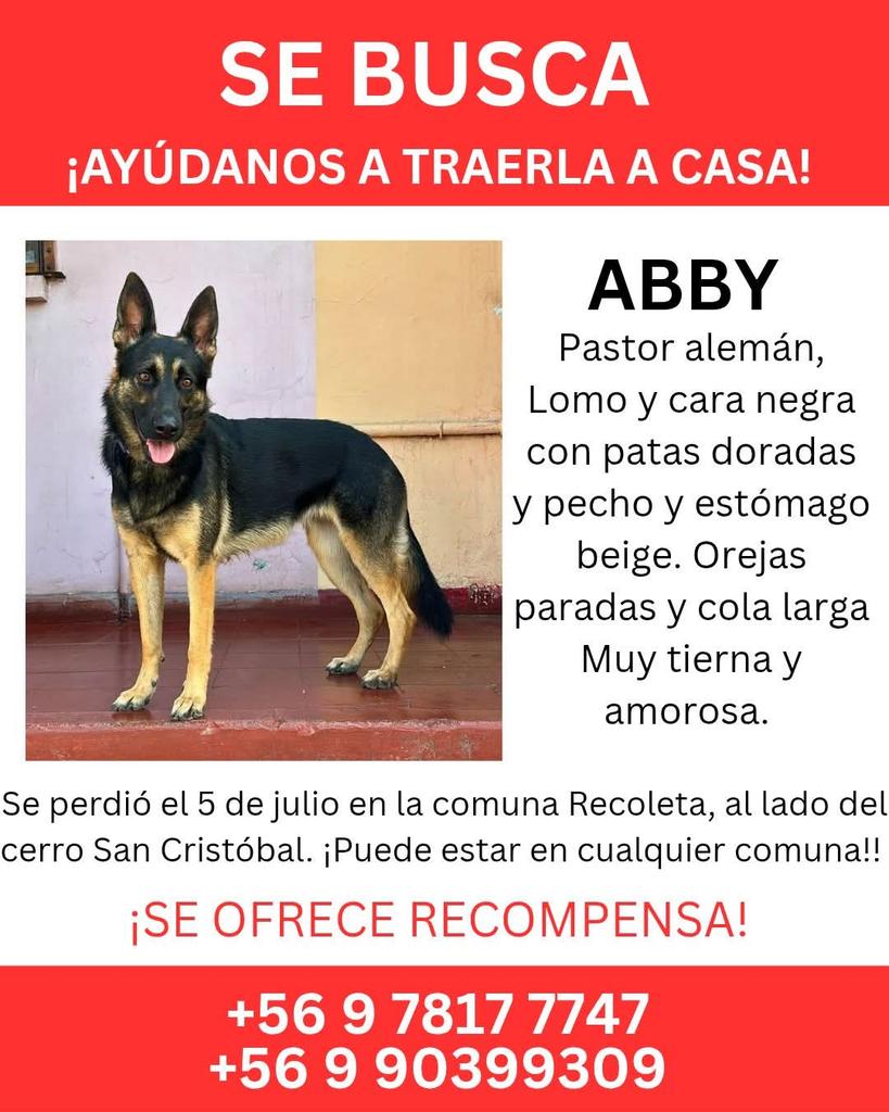 LORE TIN (@todopormiperro) on Twitter photo 