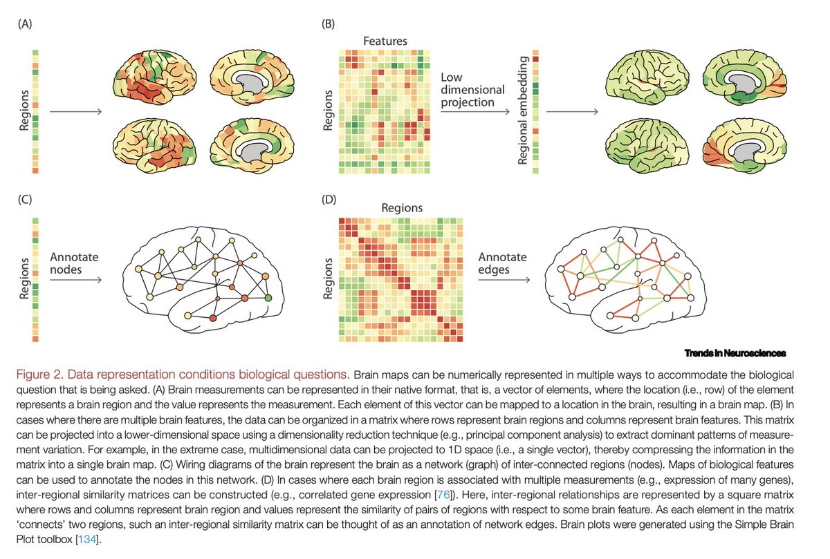 JamieLarsH's tweet image. Integrating and interpreting brain maps cell.com/trends/neurosc…