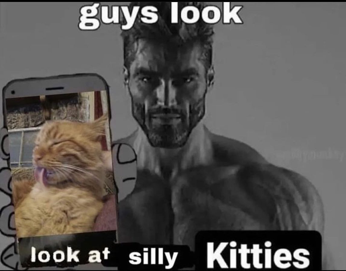 Punch Cat (@punchingcat) on Twitter photo 