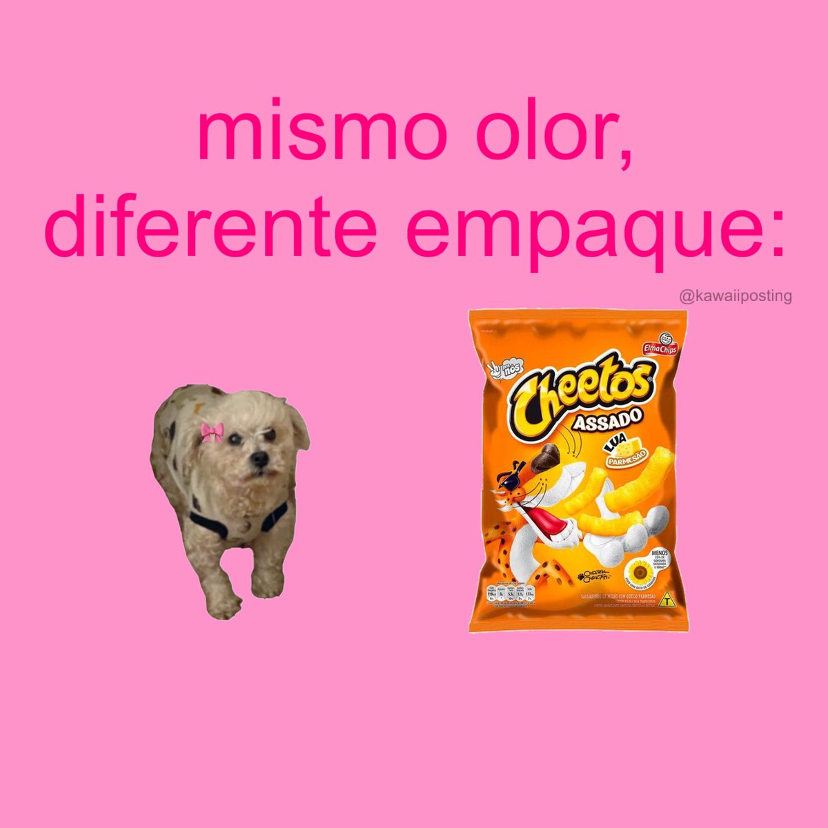 tutifruti🍓 (@kawaiiposting_) on Twitter photo 