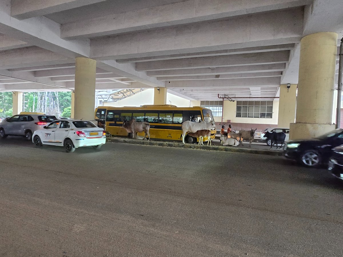 utk_josh's tweet photo. 4th Aug, 730am. Sector 55-56 metro station. Organic traffic jam. 

#MCG #DistrictAdministration #Gurugram #Haryana

@DC_Gurugram @MunCorpGurugram @OfficialGMDA 
@TrafficGGM
@AjayKumarIAS13
@cmohry
@NayabSainiBJP
@Rao_InderjitS
@narendramodi https://t.co/Tz1kgxTlEj