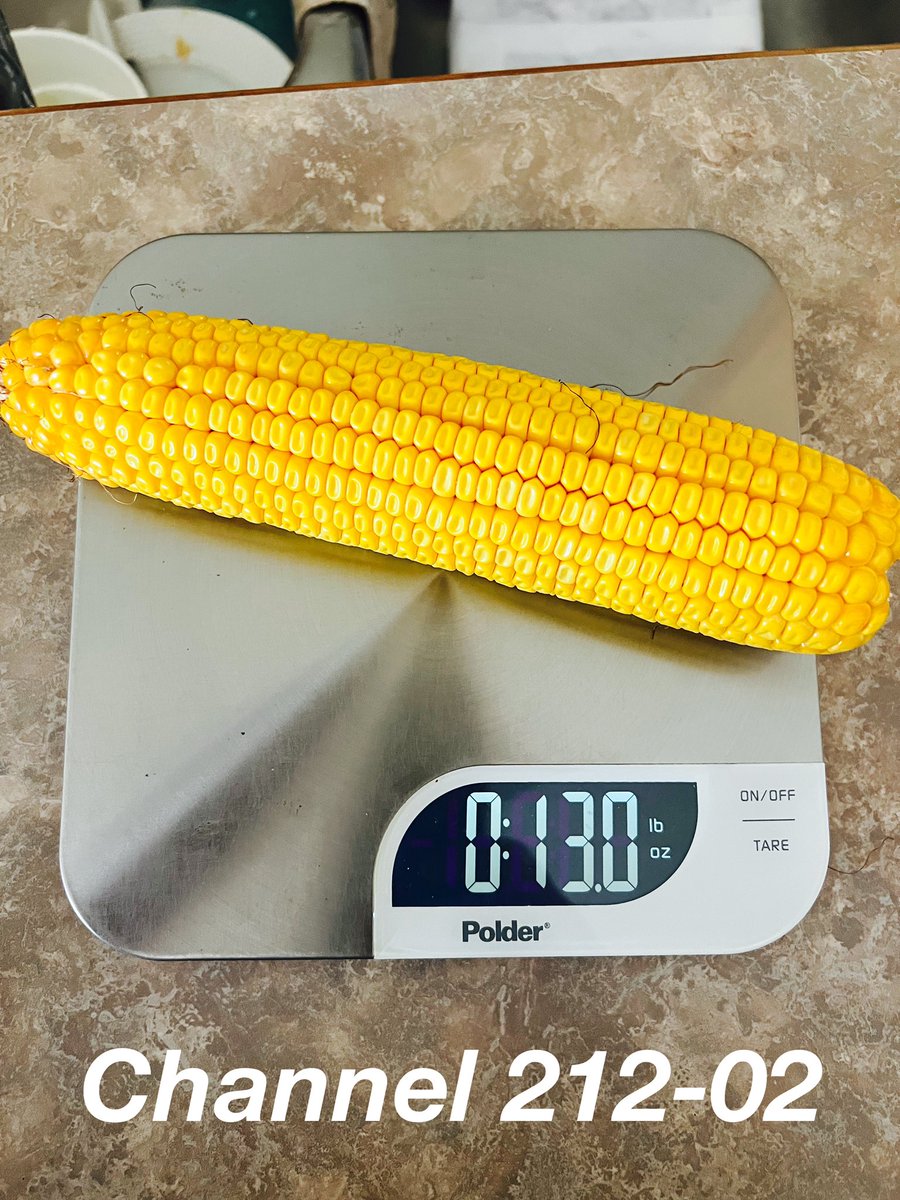 Had a good crop tour this weekend! Finally had a weekend where we were all home and not running to a ballpark.

Things are looking good and looking forward to this cooler weather to help these <a href="/ChannelSeed/">Channel Seed</a>  hybrids finish strong!

<a href="/Channel_MO/">Channel Missouri</a>