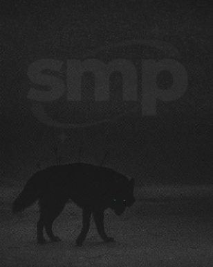 The hate rally on $SMP will be studied. Bid the cult coin.