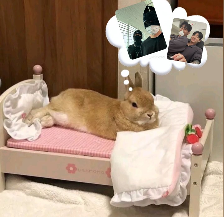 my mind gonna be like this for the whole week.