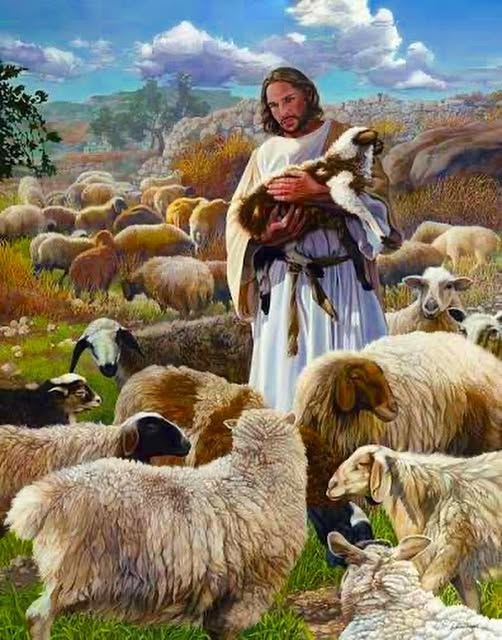 Jesus_Savior's tweet image. “He saith to him again the second time, Simon, son of Jonas, lovest thou me? He saith unto him, Yea, Lord; thou knowest that I love thee. He saith unto him, Feed my sheep.” John 21:16 #lovingGod #sheep #lambs #salvation #wellsofsalvation #Godspromises