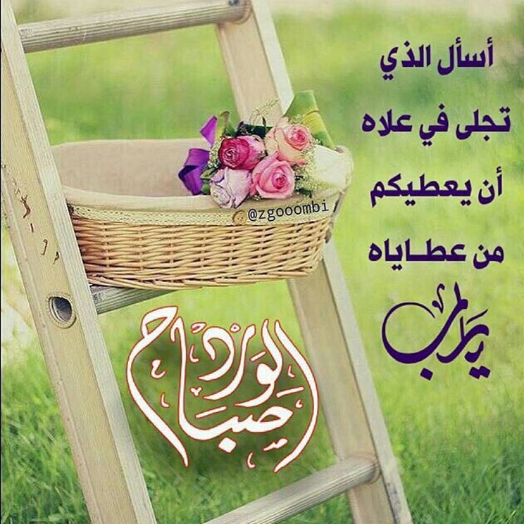 ♥️#صباح_الخير 🌹