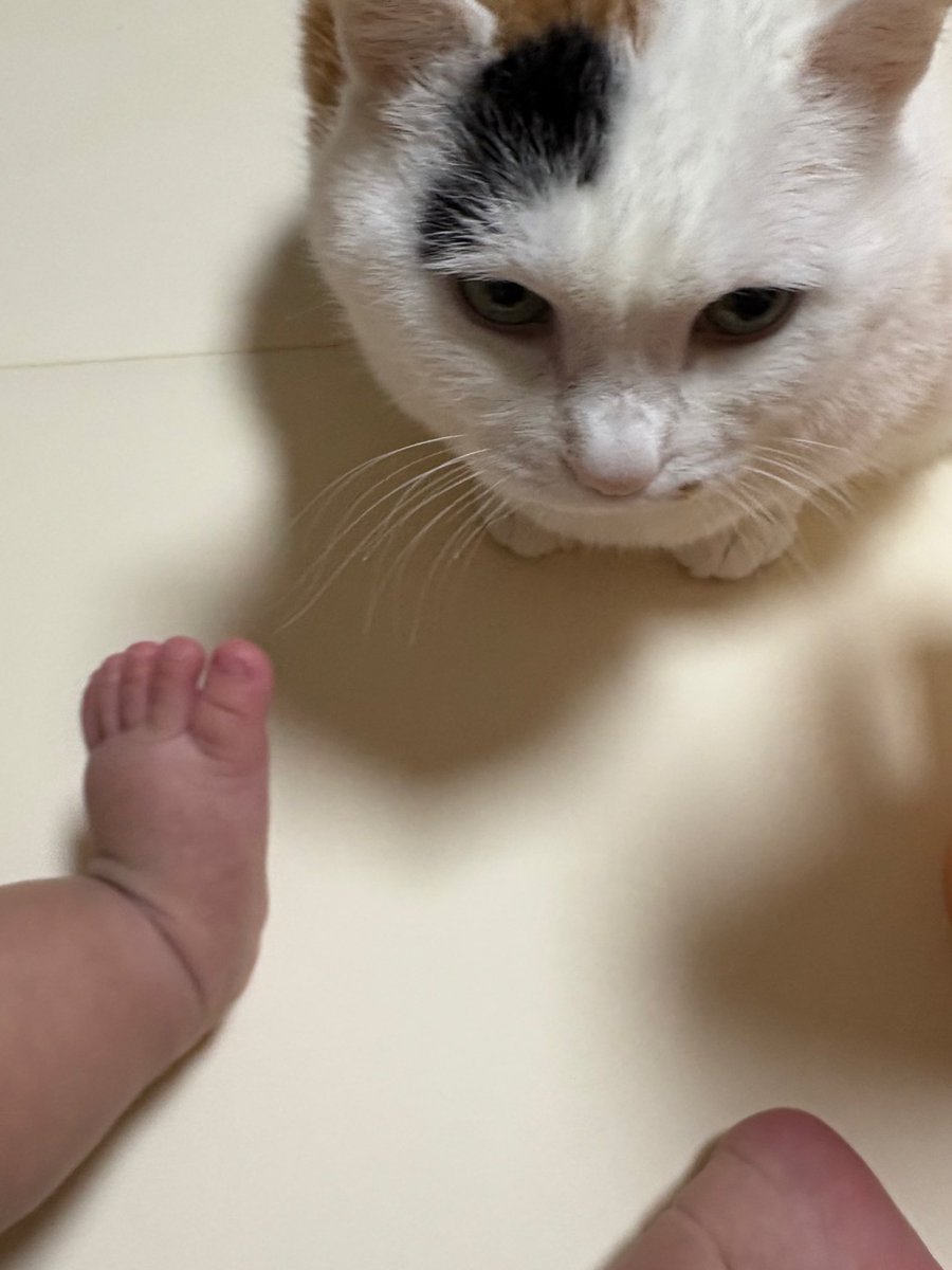 꿀떡이 tweet media