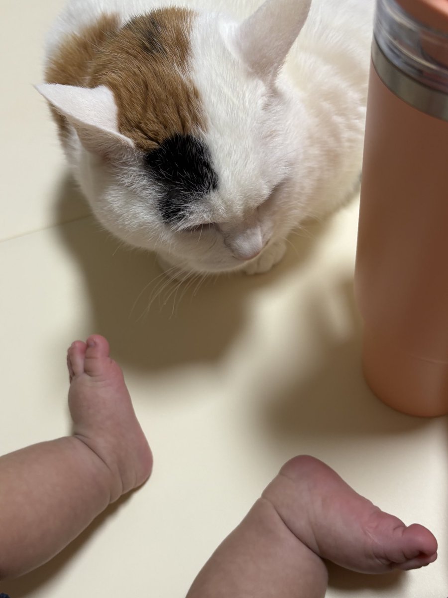 꿀떡이 tweet media