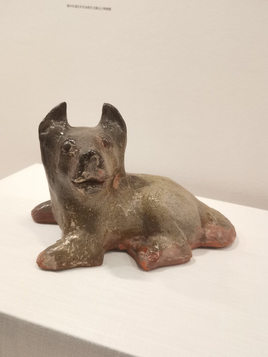 Clay puppy. It is a burial item in the museum. So cute.