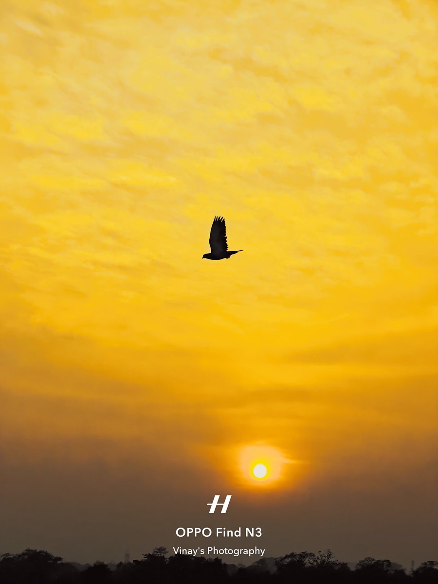 VinayKu64450906's tweet photo. Sometimes, the loudest stories are written in the quietest skies.
#NegativeSpace
#ShotOnSnapdragon
#ShotOnOPPO Find N3
#inspiringnature
#InspirationAhead
#OPPOCommunity
#birdphotography https://t.co/UpTUNMnRFp
