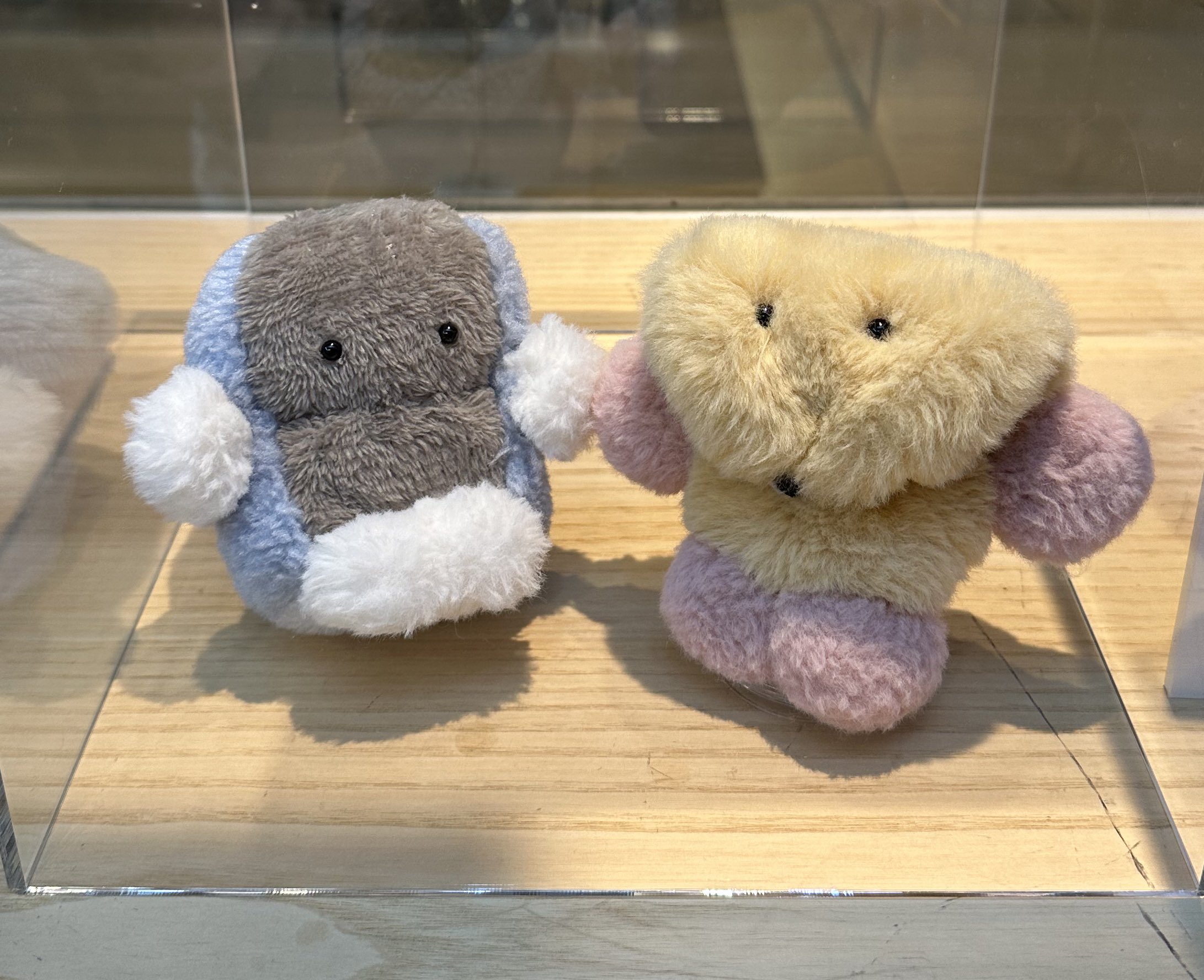 たまもの　空想アパートメント　カネヒラさん 2DAY 11/11,12 空想アパートメント個展「眠るときも、いつでも」