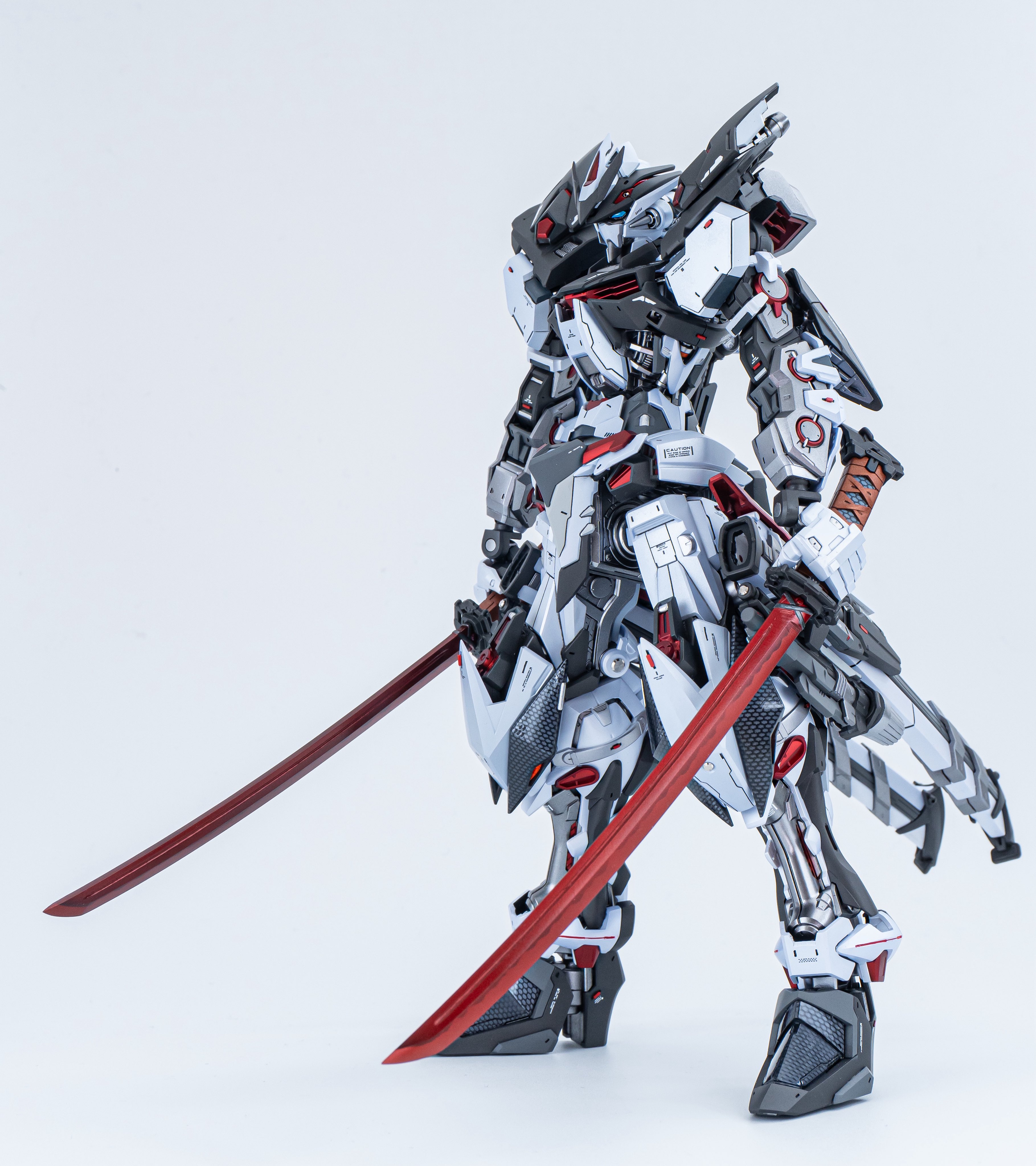 ⭐︎パピコ★ Papico🐥💕Skater日本一小さいスケボー犬 | . Here we go