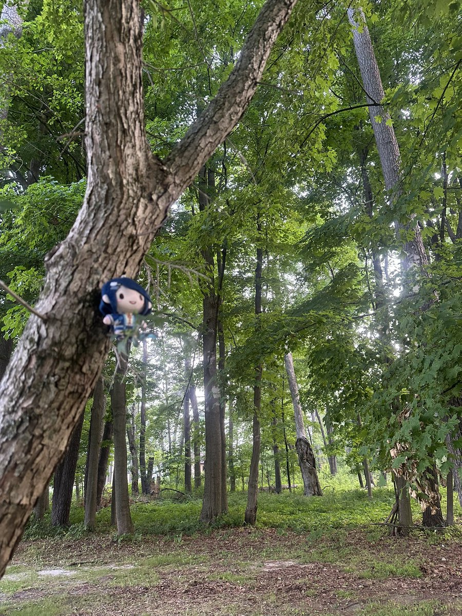 i took ichika to the forest