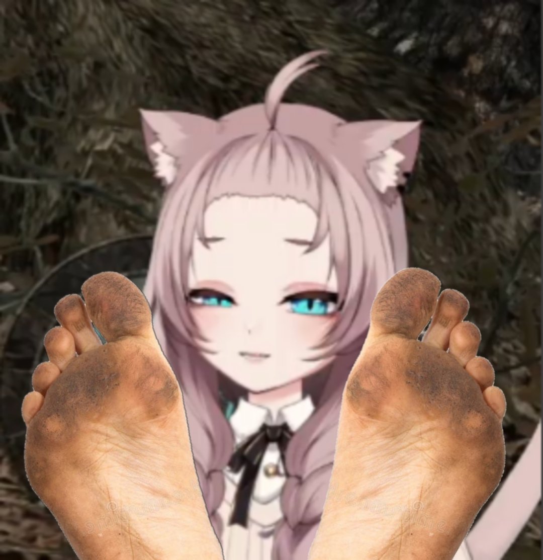 MeowDem 🐺🏳️‍🌈🦶 tweet media