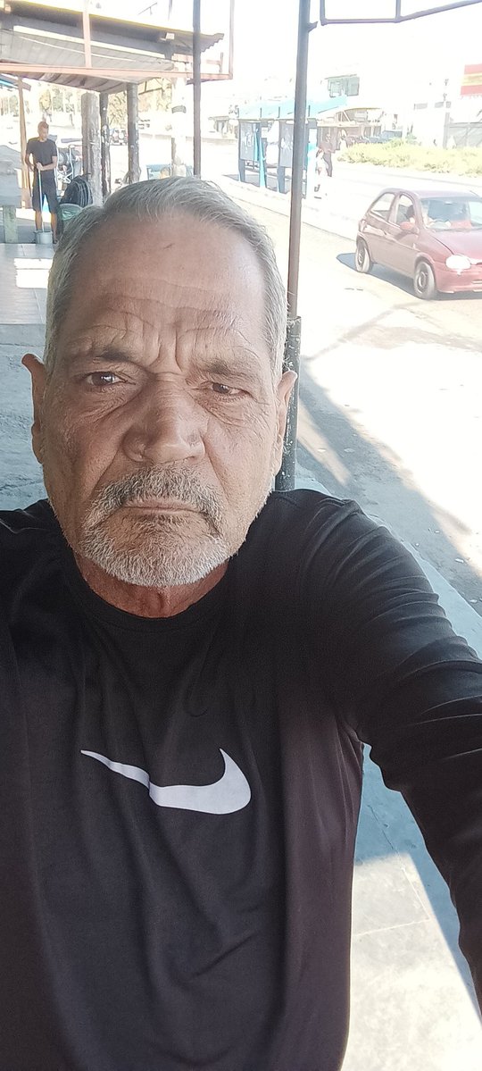 "... Amo tanto as palavras ... As inesperadas ... As que avidamente a gente espera, espreita até que de repente caem ... Vocábulos amados ... Brilham como pedras coloridas" -
 Pablo Neruda