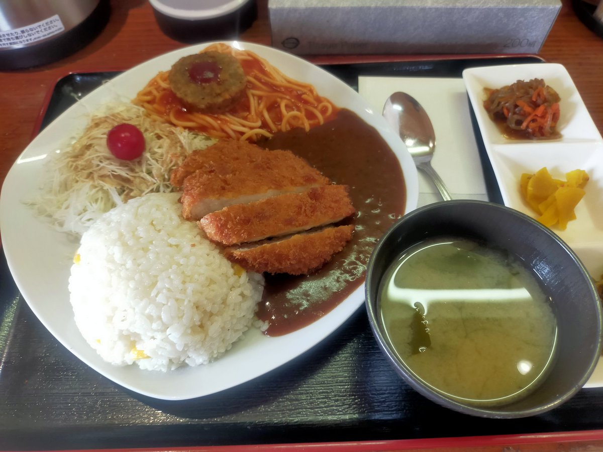 用事を済ませてトルコライス食って帰宅