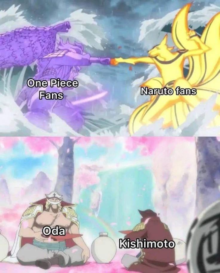 One Piece Daily tweet media
