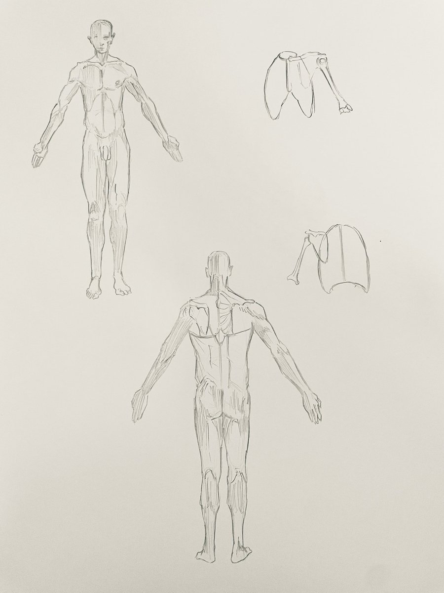 久しぶりに毎日デッサン再開したらバランス感覚鈍りすぎてて草
やはりテスト期間は絵師にとってスランプの温床