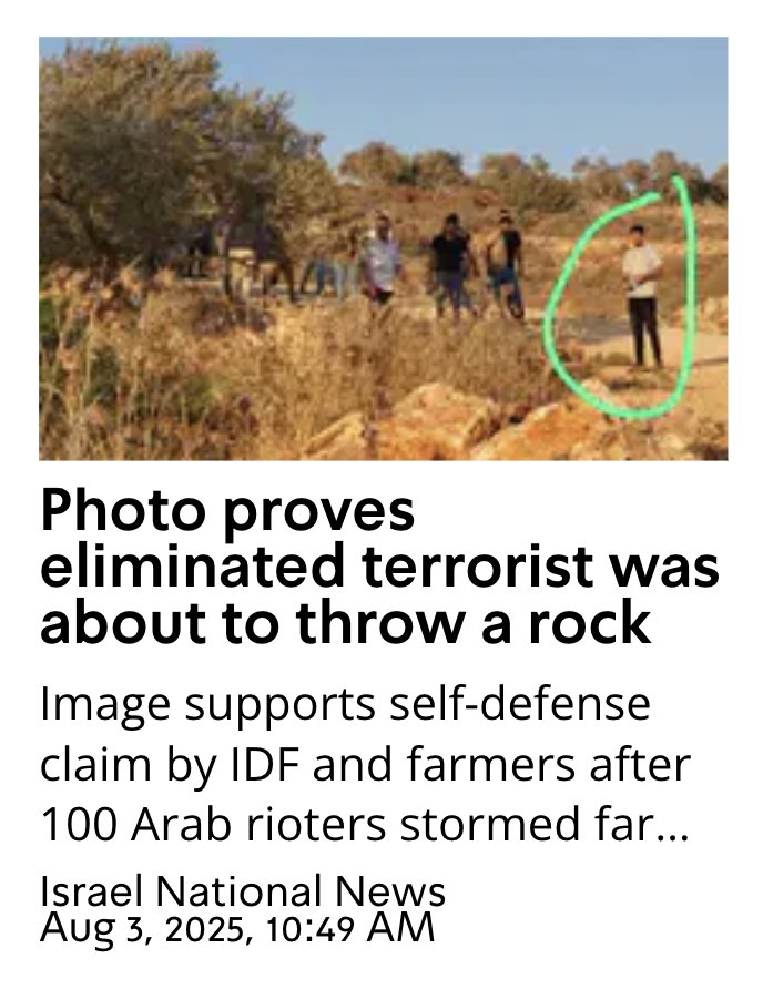 Every accusation is a confession..
Stfu you sad little flag waving weirdo, Read a book. 
We did that 👇🏻Starving babies?
Killing babies for throwing rocks?
You're a baby butchering nappy wearing Nazi.

Jesus, how do you justify, justifying this?
That's how i know you're demons.