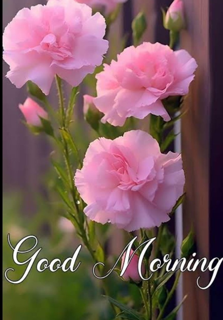 Good Morning 🌄 
सावन के अंतिम सोमवार की आप सभी को हार्दिक बधाई और शुभकामनाएं 

हर हर महादेव 🙏🔱