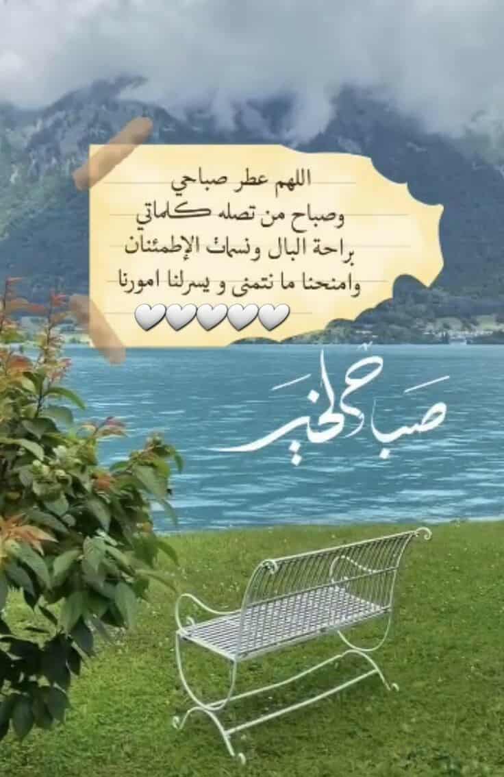 Taha (@taha3okal) on Twitter photo 