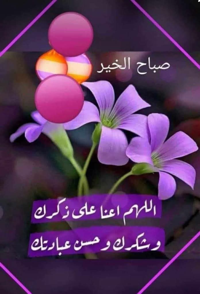 Taha (@taha3okal) on Twitter photo 