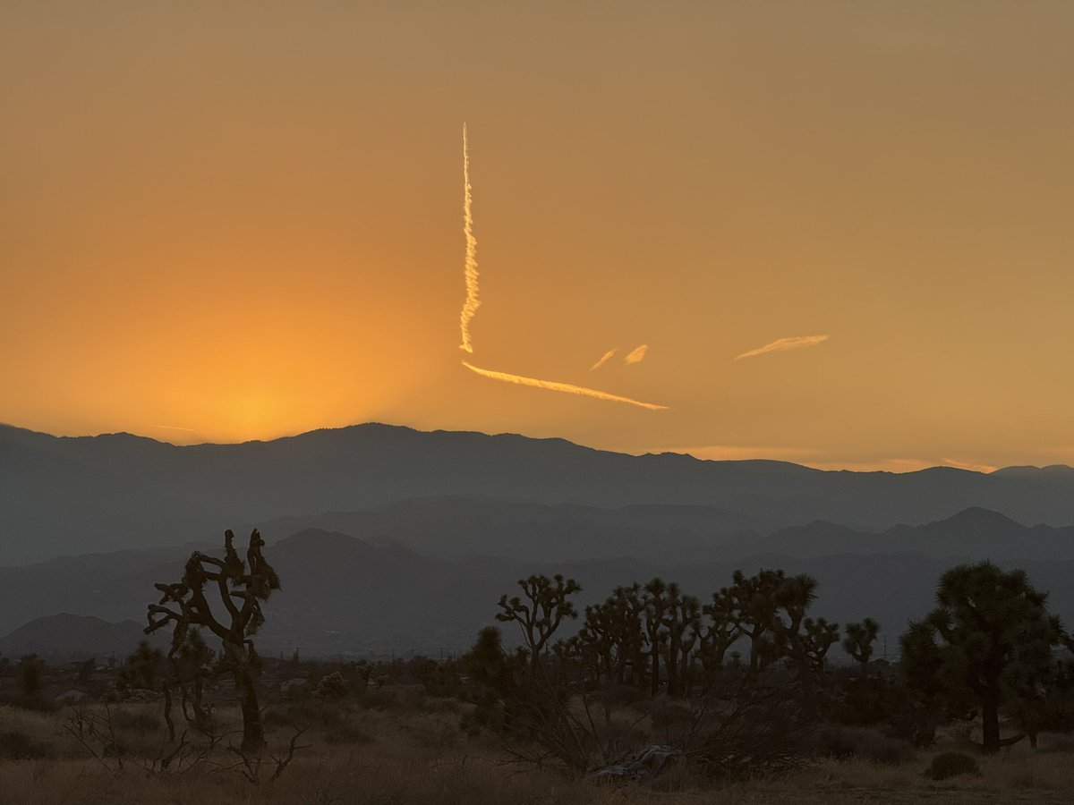 Sometimes you have to take the L.